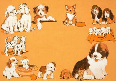 子犬 作： English School