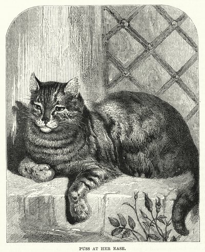 Puss at her ease (in engraving) 作： English School