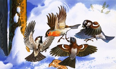 他の鳥と戦うロビン 作： English School