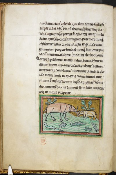 ロイヤル 12 F.XIII、f.13v 魚でいっぱいの小川にいる大きなゾウと小さなゾウ。  Bestiary (ff. 3-141)、Lapidary (ff. 141v-149)  13世紀の第2四半期 作： English School