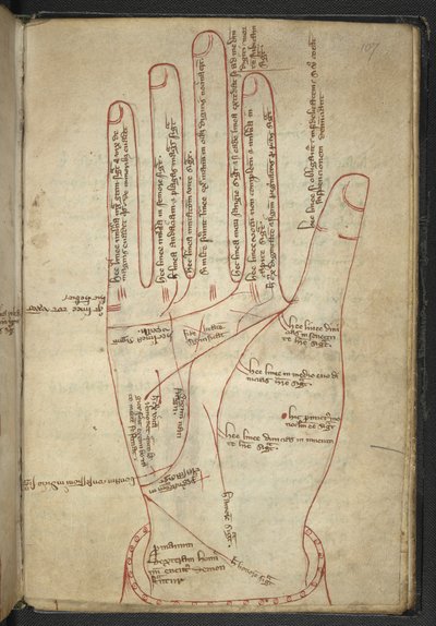 ロイヤル MS 12 C XII f.107r 中世の雑貨で手を読む (ベラムにインク) 作： English School