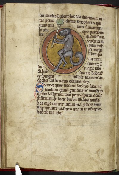 ロイヤル MS 12 C XIX、f.15v サテュロス、「Bestiary」から、1200-10 年頃（ベラムにインク、カラー、ゴールド） 作： English School