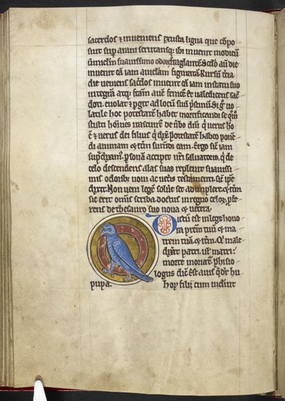 ロイヤル MS 12 C XIX f.50v、ヤツガシラ、「Bestiary」から、1200-10 年頃（ベラム紙にインク、カラー、ゴールド） 作： English School