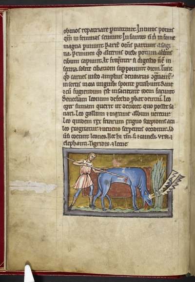 ロイヤル MS 12 C XIX、f.7v アンテロープ、「Bestiary」、c.1200-10 から（ベラムにインク、カラー、ゴールド） 作： English School