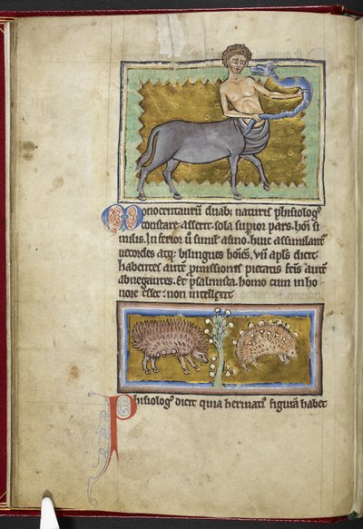 ロイヤル MS 12 C XIX、f.8v ケンタウロス、「Bestiary」から、1200-10 年頃（ベラムにインク、カラー、ゴールド） 作： English School
