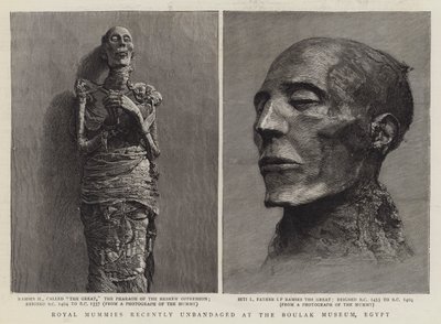 エジプトのブーラック博物館で最近解体された王家のミイラ（彫刻作品 作： English School