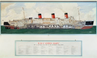 G.ハヴィスによるR.M.S.クイーン・メアリーの断面図（20世紀の図面） 作： English School