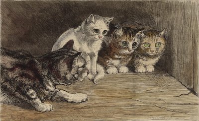 ネズミのしっぽを見る数匹の猫（彩色済みエングレーヴィング） 作： English School