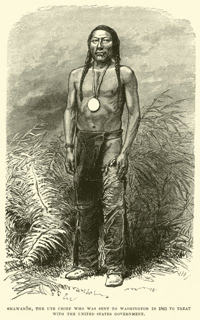 1863年に米国政府との治療のためにワシントンに派遣されたユテ族の首長、シャワノー 作： English School
