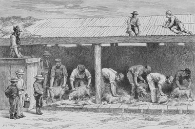 羊の毛刈り、1880年、ハワードウィロビー著「オーストラリアの写真」より、宗教協会、ロンドン、1886年発行 作： English School