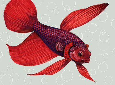 シャムの戦いの魚 作： English School