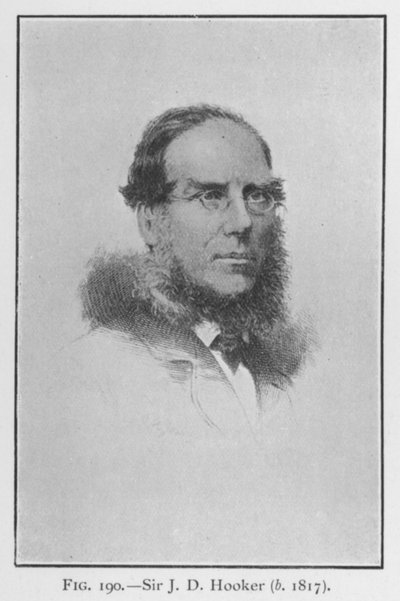 ジョセフ・ダルトン・フッカー卿（1817-1911）肖像（リトグラフ 作： English School