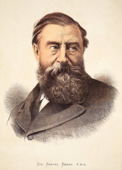 サミュエルベイカー卿、J。ユーイングリッチー著「The Pictorial Edition of the Life and Discoveries of David Livingstone」のイラストA. Fullarton＆Co.、1876年 作： English School