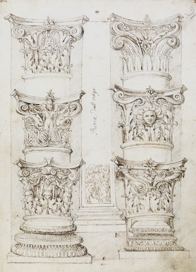 Six Capitals、Lesene and Two Column Bases、Folio 1、The Master of the Oxford Album、c.1512-17（ペンとダークブラウンのインク） 作： English School