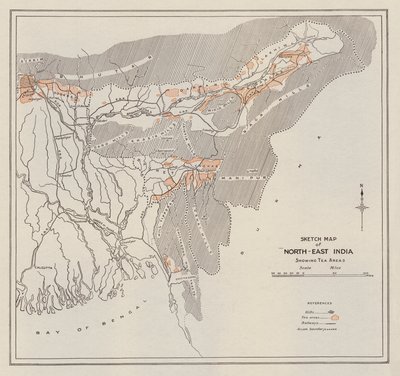 インド北東部スケッチ地図（リトグラフ） 作： English School