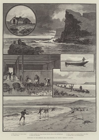 Behring Sea Seal-Fishery、St Paul "s、プリビロフ諸島のスケッチ 作： English School
