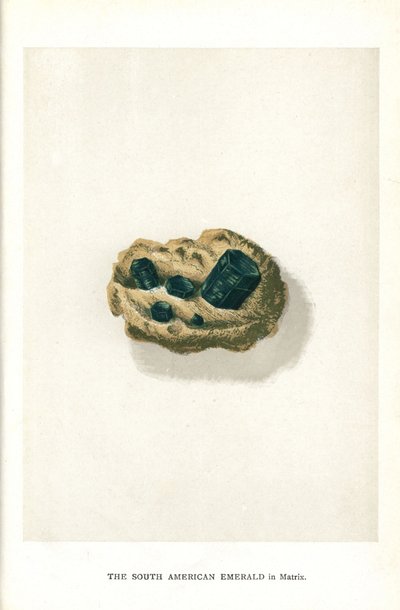 Edwin Streeter の「Precious Stones and Gems」、London、George Bell & Sons からのマトリックスの南アメリカのエメラルド 作： English School