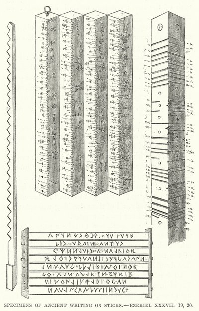 棒に書かれた古代文字の標本、エゼキエルXXXVII 作： English School