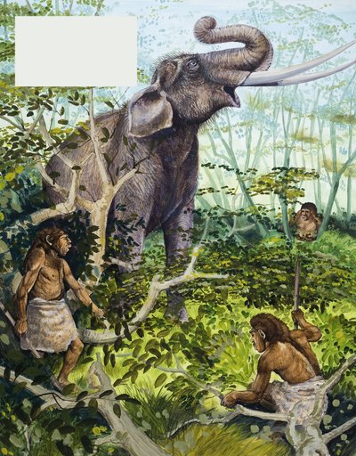 石器時代の人間とゾウ 作： English School