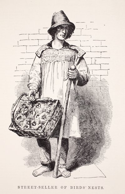 鳥の巣のストリートセラー。ロンドンレイバーとロンドンプアーのイラスト、ヘンリーメイヒューのパブ。 1862 作： English School
