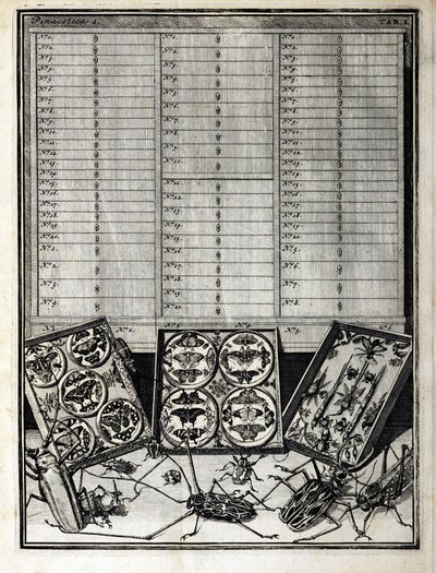 Levin St. Vincent（1658-1727）1719による表1のリスト表 作： English School