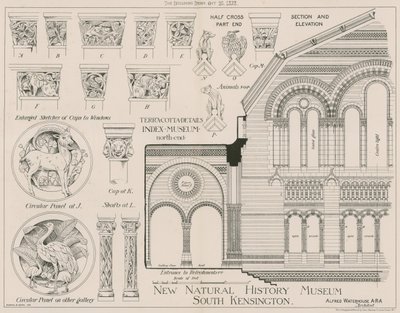 サウスケンジントンの新しい自然史博物館のテラコッタの詳細 作： English School