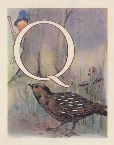 動物のABC文字Q、ウズラ（カラーリトグラフ） 作： English School