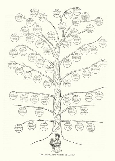 The Barnardo Tree of Life（リトグラフ 作： English School