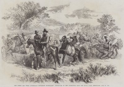 バーク・アンド・ウィルズのオーストラリア探検隊、1860年8月20日、メルボルンのロイヤル・パークからの出発（エングレーヴィング 作： English School