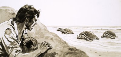 漂流者：タートル島の恐怖 作： English School