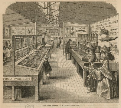 サウスケンジントン博物館、食品博物館および動物製品 作： English School