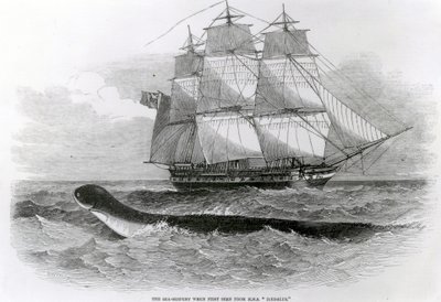 HMSダイダロスから初めて見たときの大海蛇 作： English School