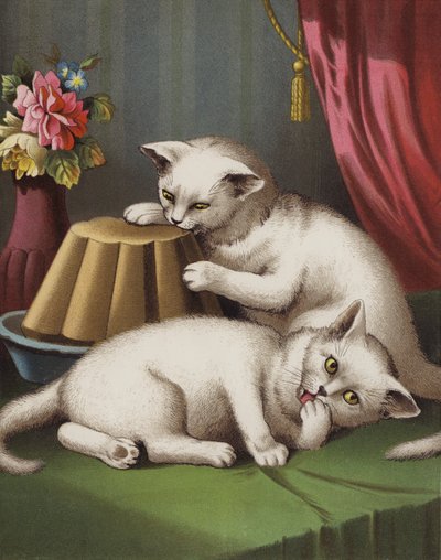 貪欲な子猫 (クロモリソ) 作： English School