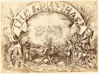 グリフィナージュ、本。ニューマン・ストレンジ、デリー・スケッチブックのページ、1850-54 作： English School