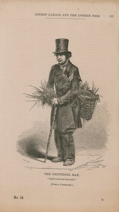 Groundsel Man 作： English School