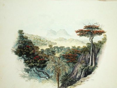 セイロンの山」（水彩・紙 作： English School