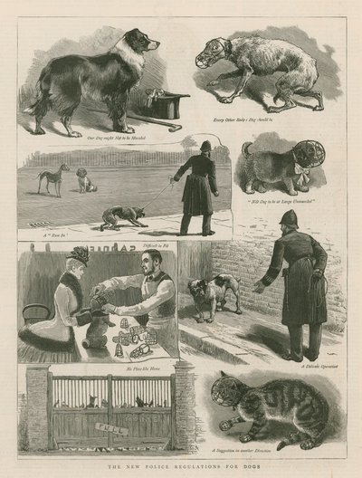 犬のための新しい警察規制 作： English School