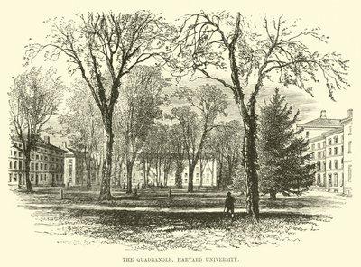 ハーバード大学四角形 作： English School