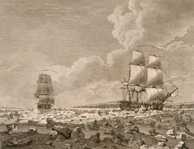 1773年に陛下の司令官によって行われた北極への航海から1773年8月10日、氷を駆け抜ける競走馬と死骸 作： English School