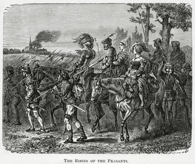 1381年、1882年のイギリスにおける農民の台頭 作： English School