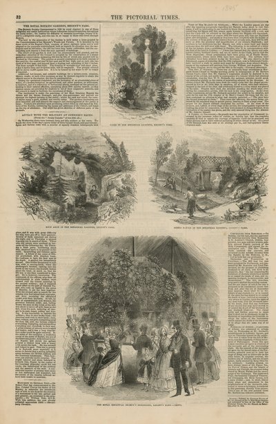 王立植物園 作： English School