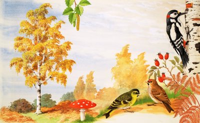 シルバーバーチツリーとその周辺にいる動植物 作： English School