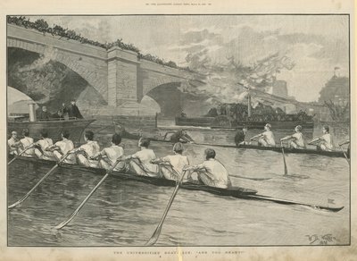 大学ボートレース 作： English School