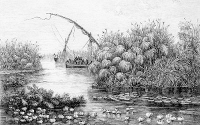 ゲオルク・アウグスト・シュヴァインフルト著「アフリカの心-1868年から1871年までの中央アフリカの秘境での3年間の旅と冒険」より「草原の中の容器 作： English School