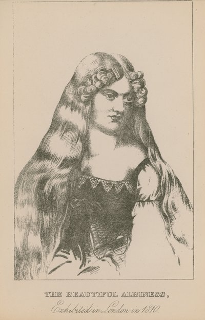 1810年にロンドンで展示された美しいアルビネス 作： English School