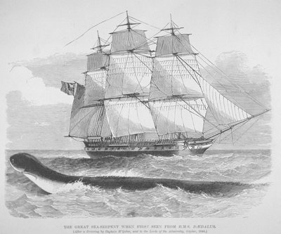 1848年にダイダロス号から初めて見られた大海蛇、1848年頃（エングレーヴィング 作： English School