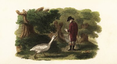 オスのガチョウJacquotと人間の友人であるフランス人ジェントルマン 作： English School