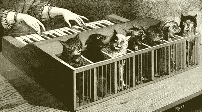 猫のピアノ 作： English School