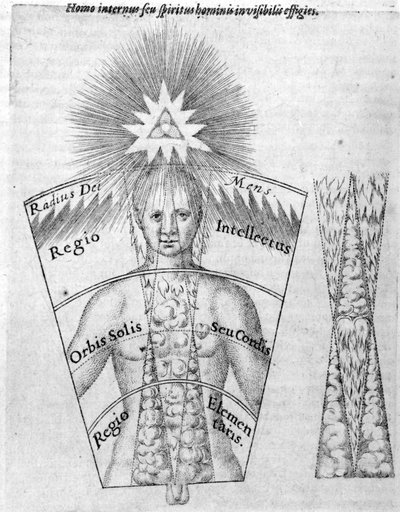 1618年に出版されたロバートフラッドの「ユトリウスクコスミヒストリア」の版占星術の科学（彫刻） 作： English School