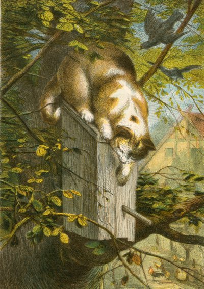ムクドリとその巣、そして猫 作： English School